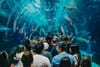 Why cutting costs at your zoo or aquarium isn't as hard as you think