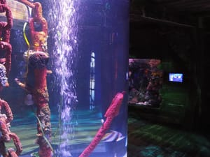 Technical Director, Ninetyone Innovation